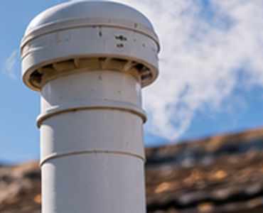 Root Damage: Why Autumn Is When Tree Roots Cause the Most Drain Problems